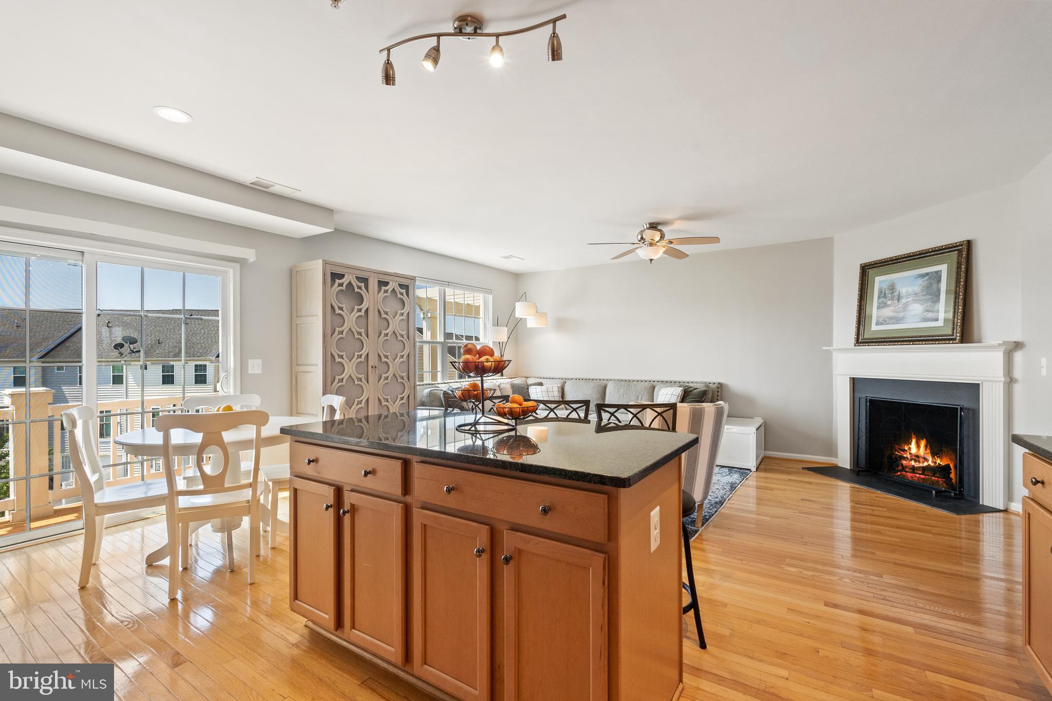 11918 Little Seneca Pkwy #2452