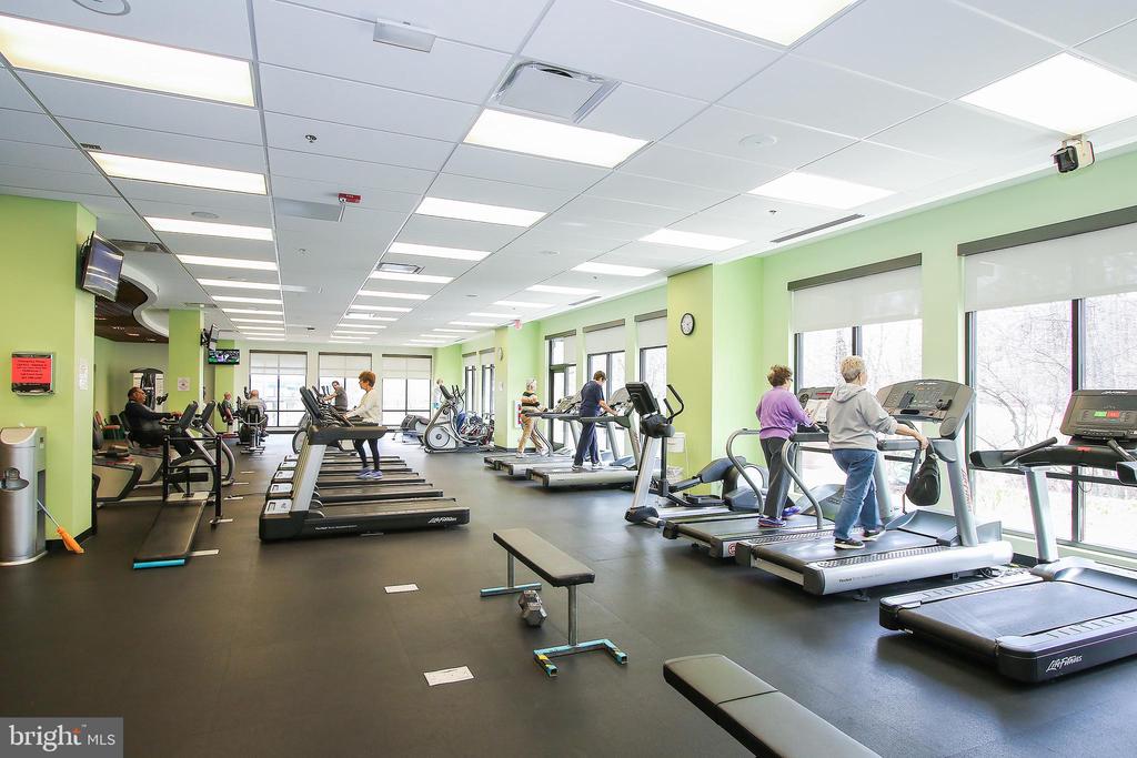 3330 N Leisure World Blvd #5-428
