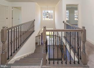 11108 King Gallahan COURT