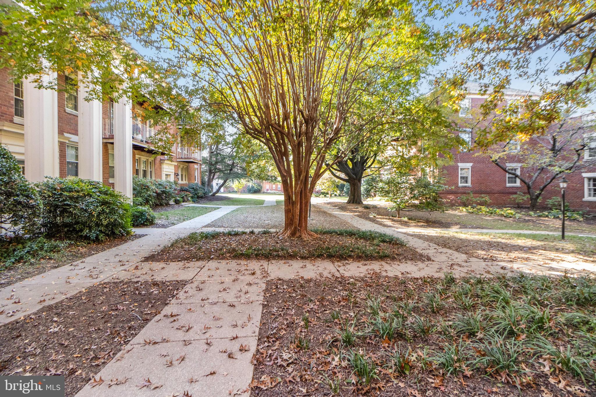 1405 E Abingdon Dr #2