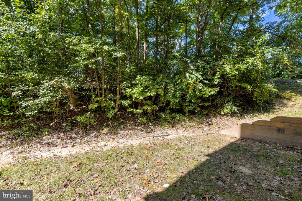 10224 FAIRE COMMONS COURT
