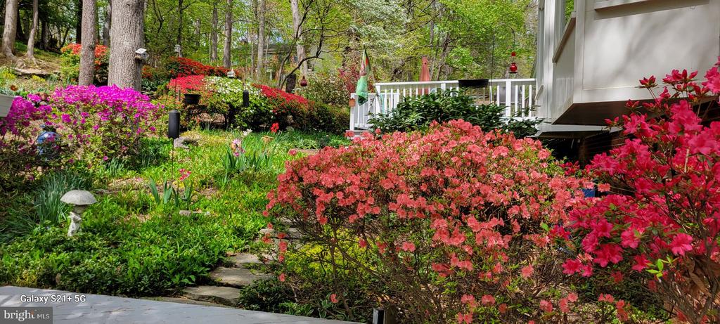 2302 CONCERT COURT