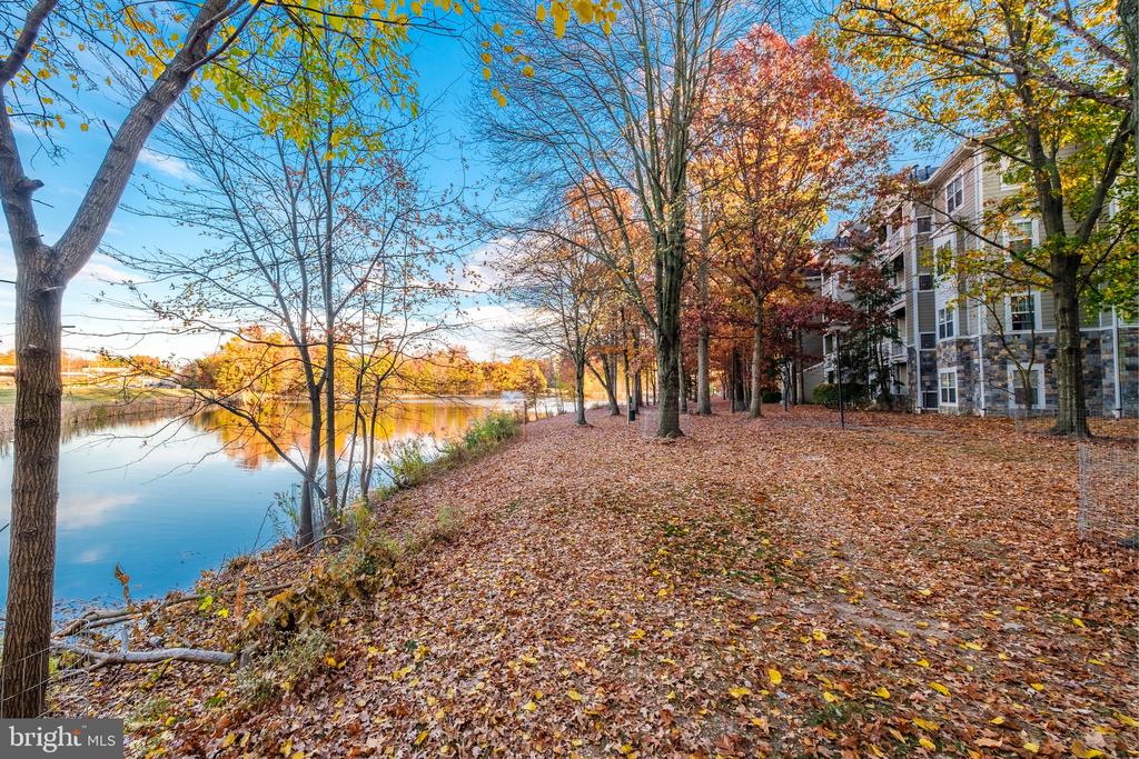 1712 LAKE SHORE CREST DRIVE 12