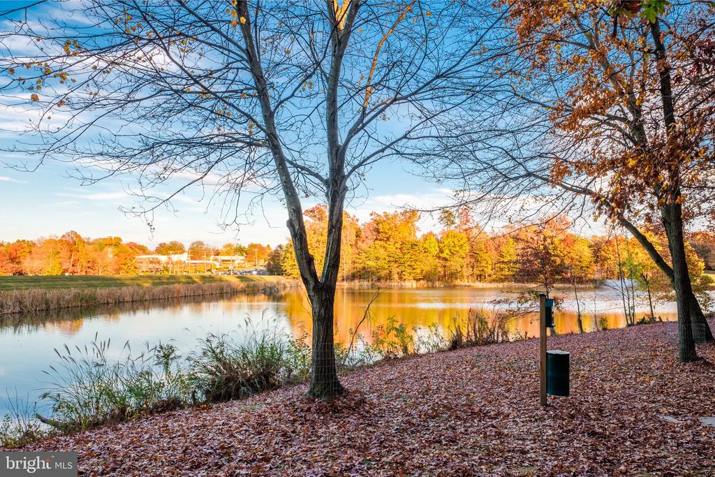 1712 LAKE SHORE CREST DRIVE 12