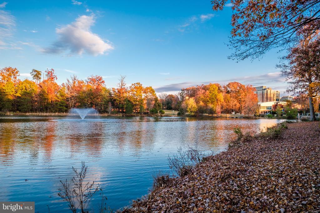 1712 LAKE SHORE CREST DRIVE 12