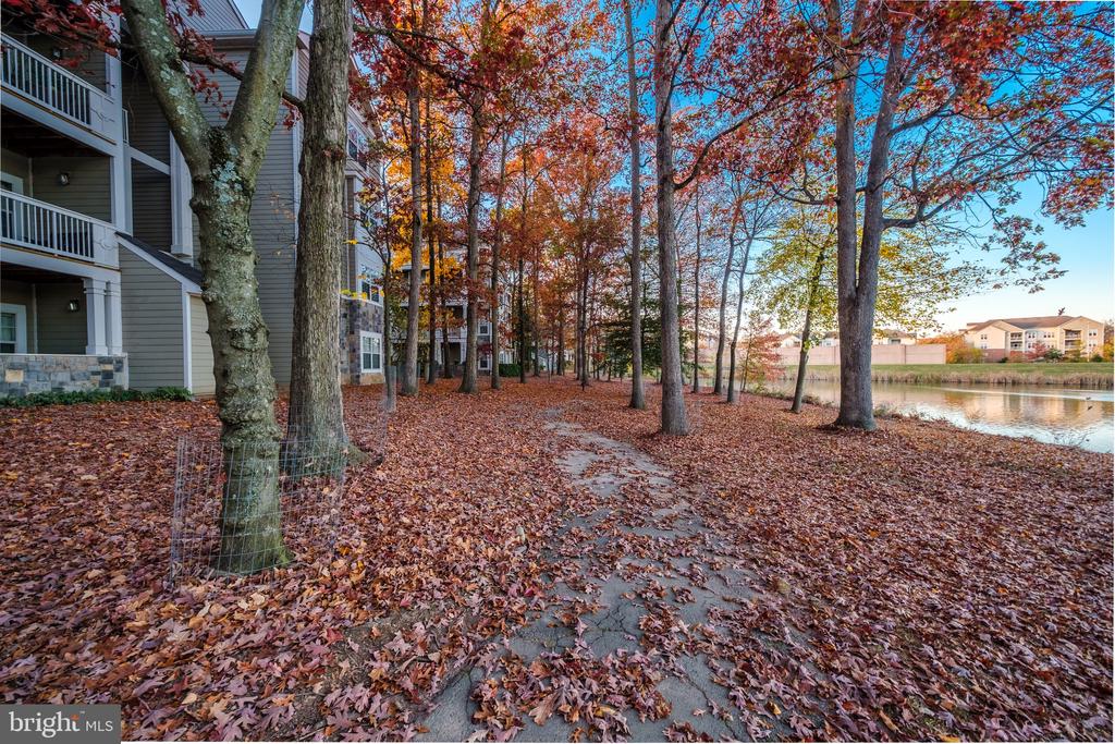 1712 LAKE SHORE CREST DRIVE 12