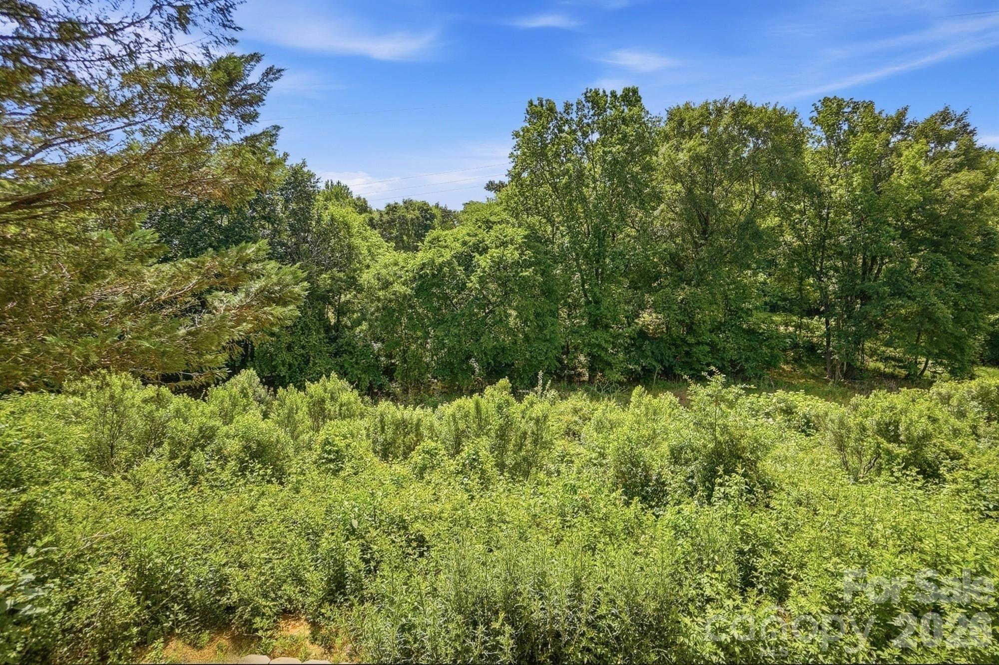 1264 Winding Path Road
