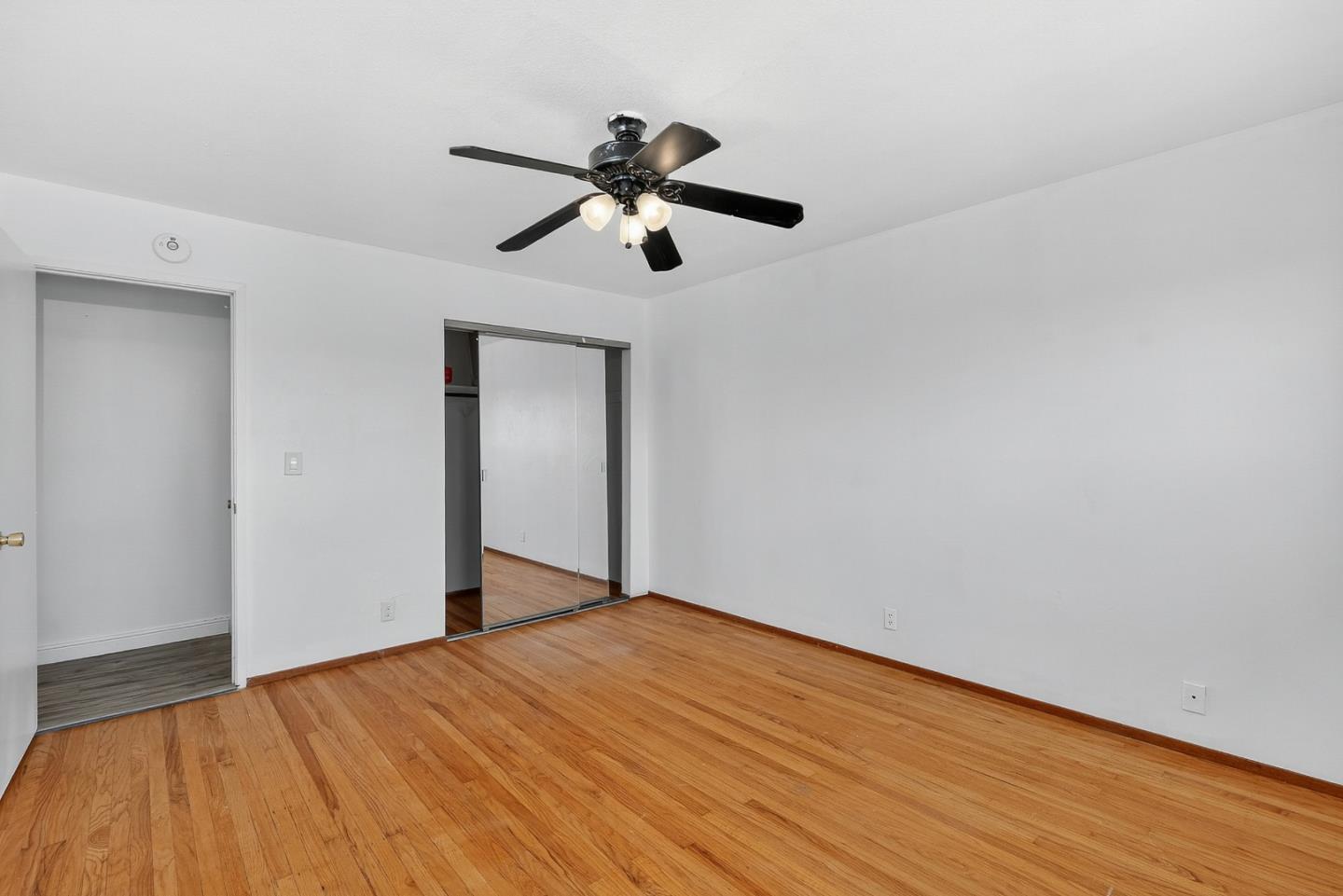 3291 Selva Drive