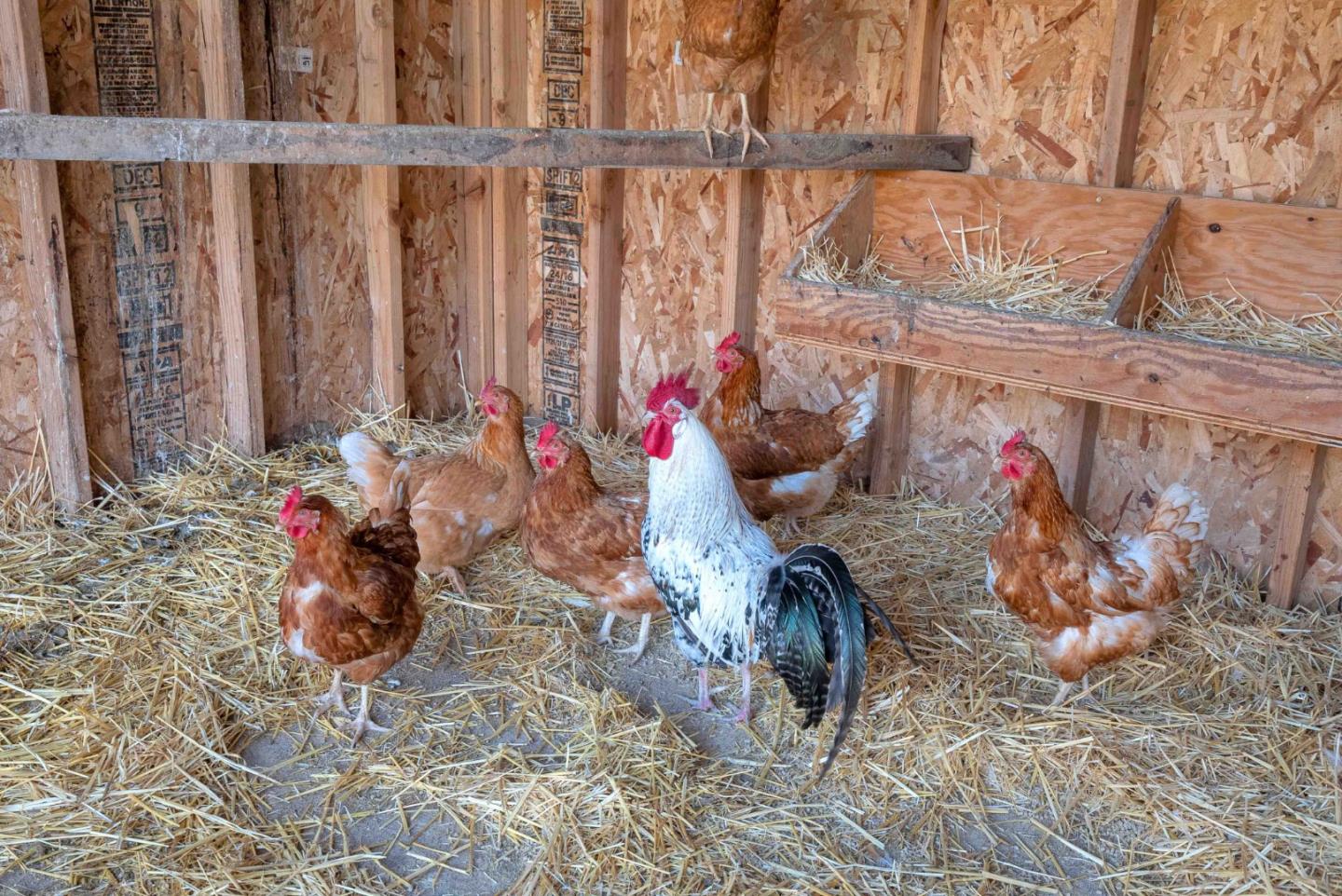 2862 Little Rock Drive