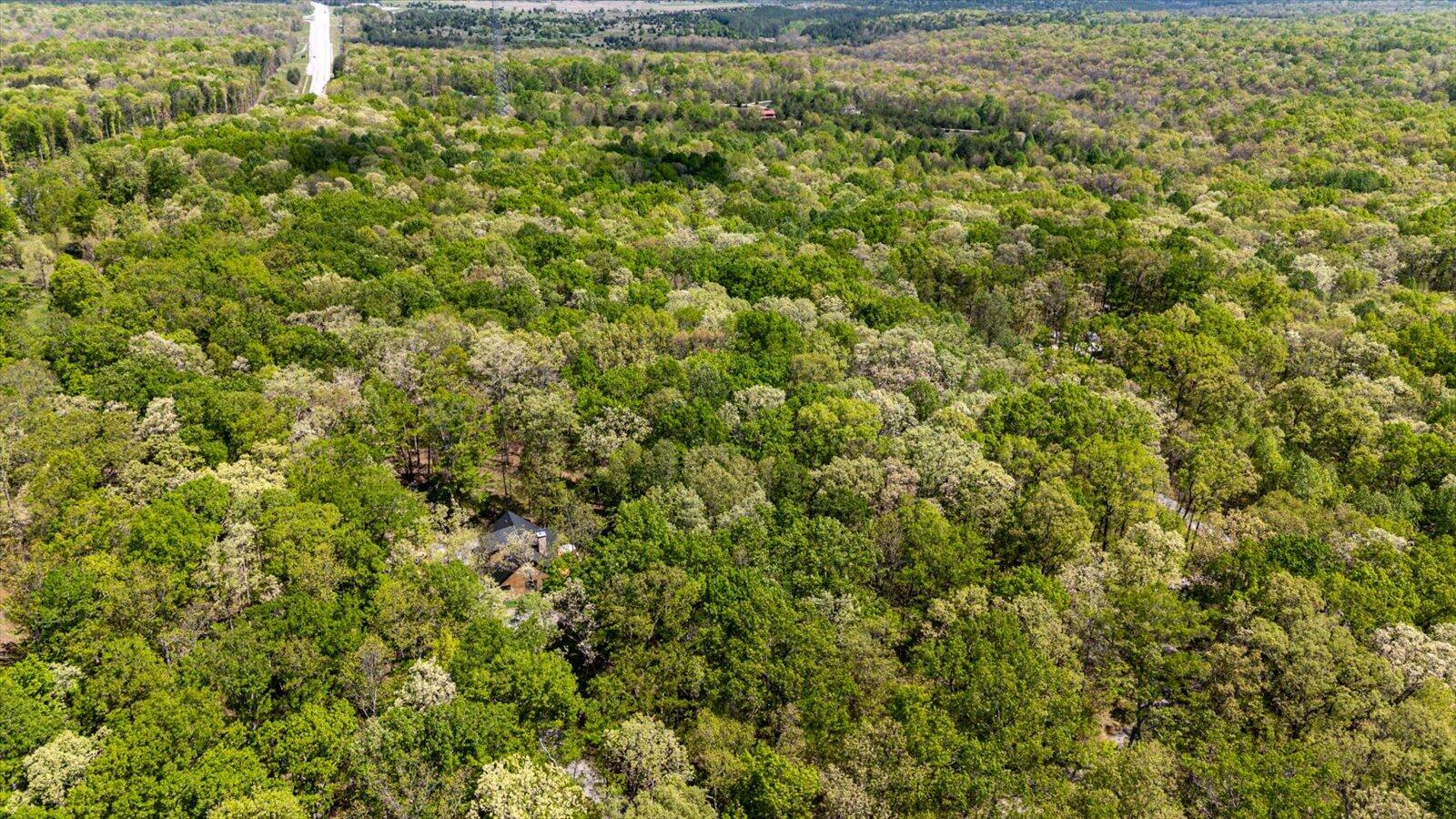 557 Green Forest Road