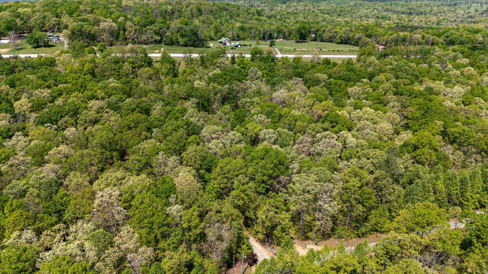 557 Green Forest Road