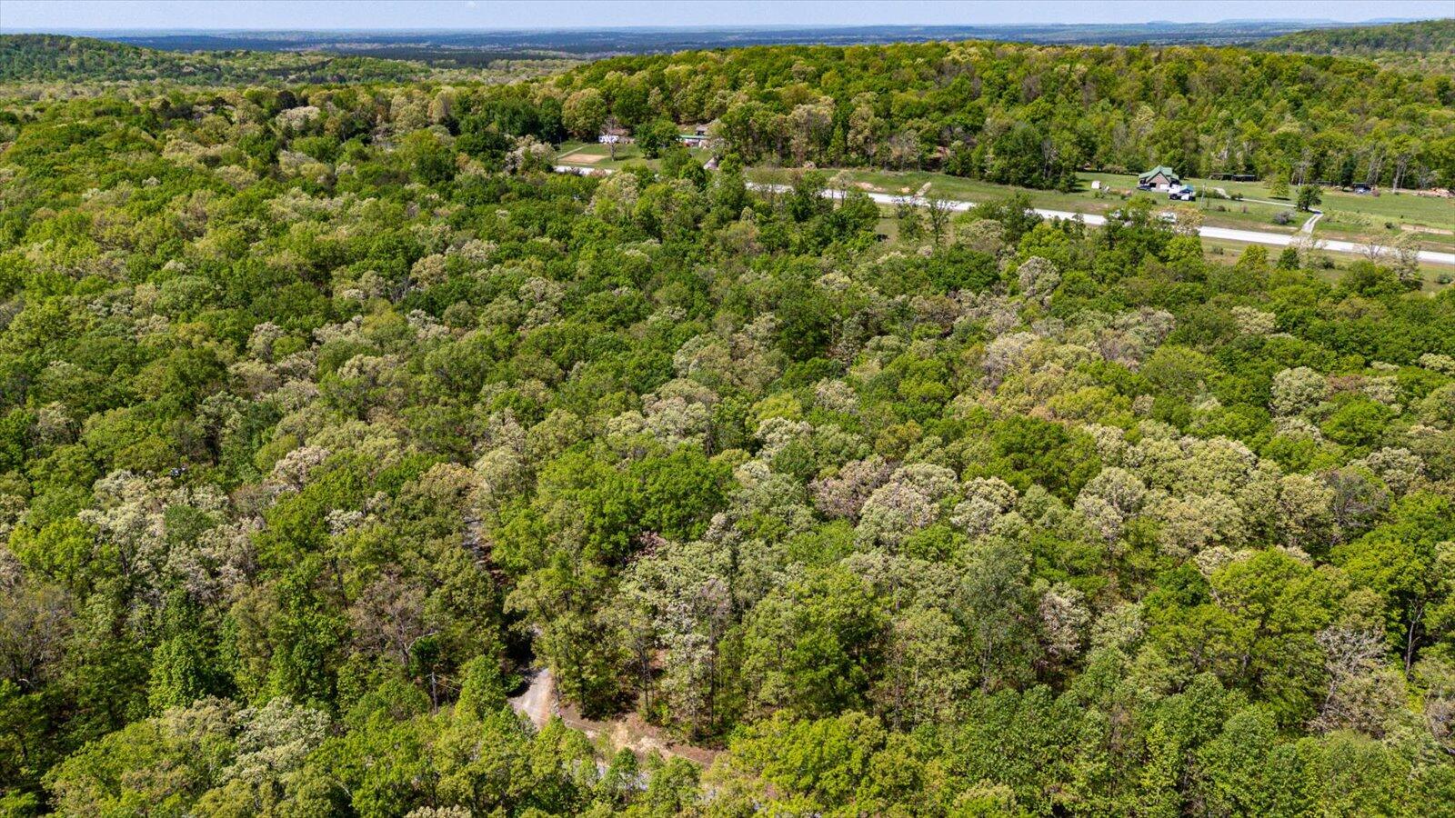 557 Green Forest Road