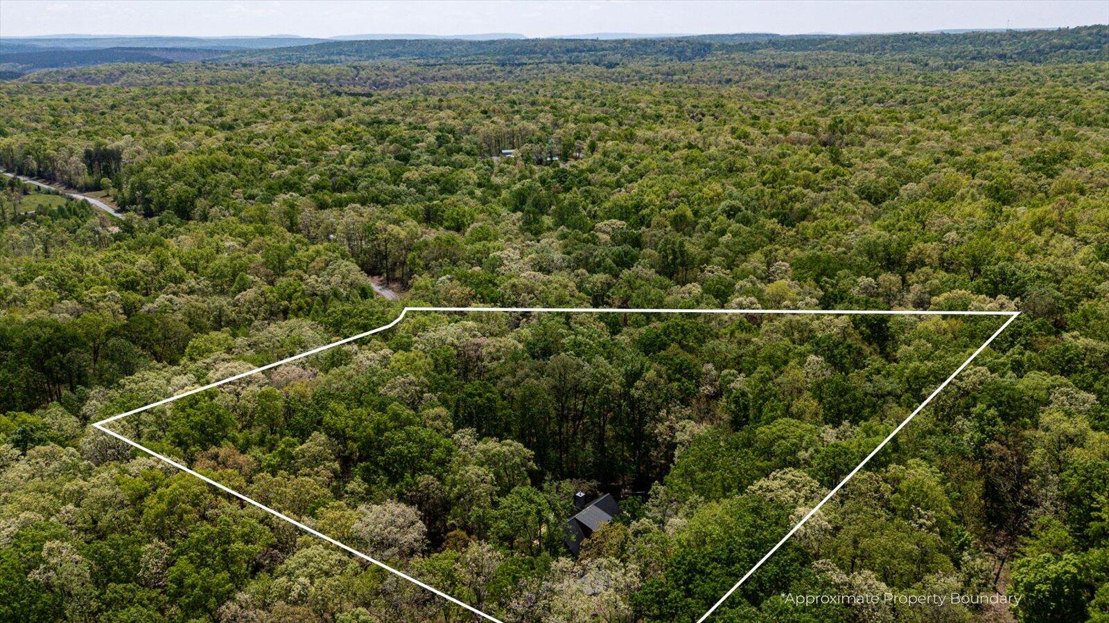 557 Green Forest Road
