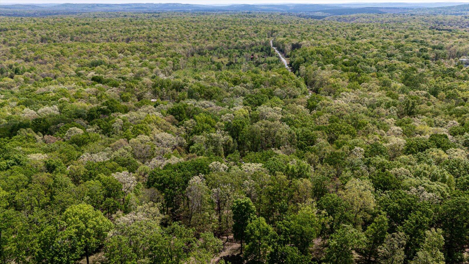 557 Green Forest Road
