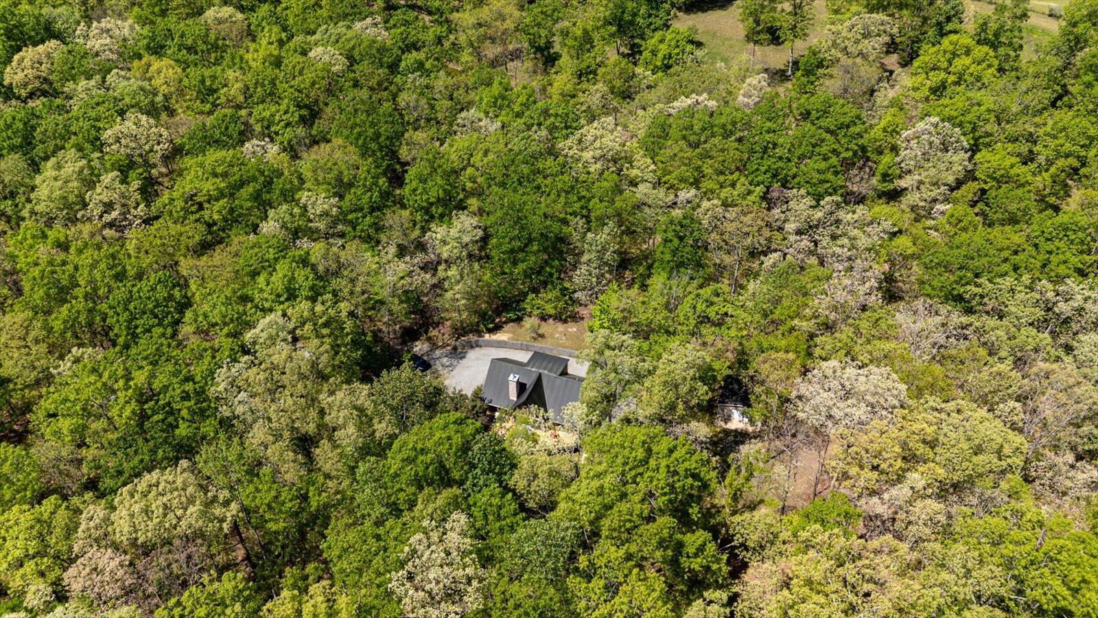 557 Green Forest Road