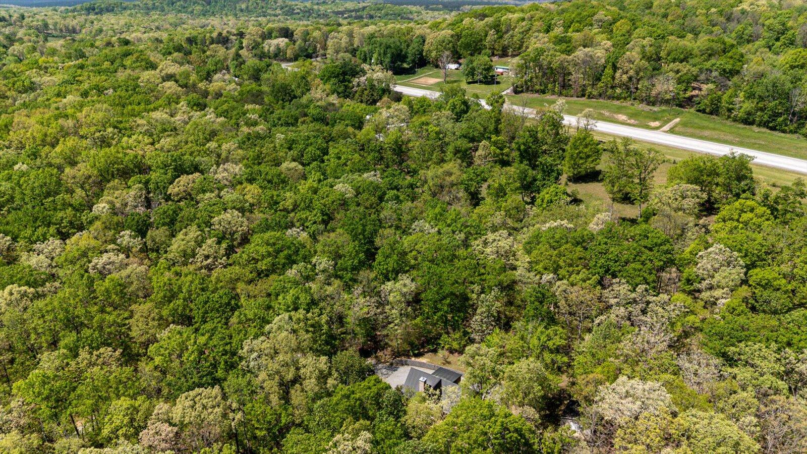 557 Green Forest Road