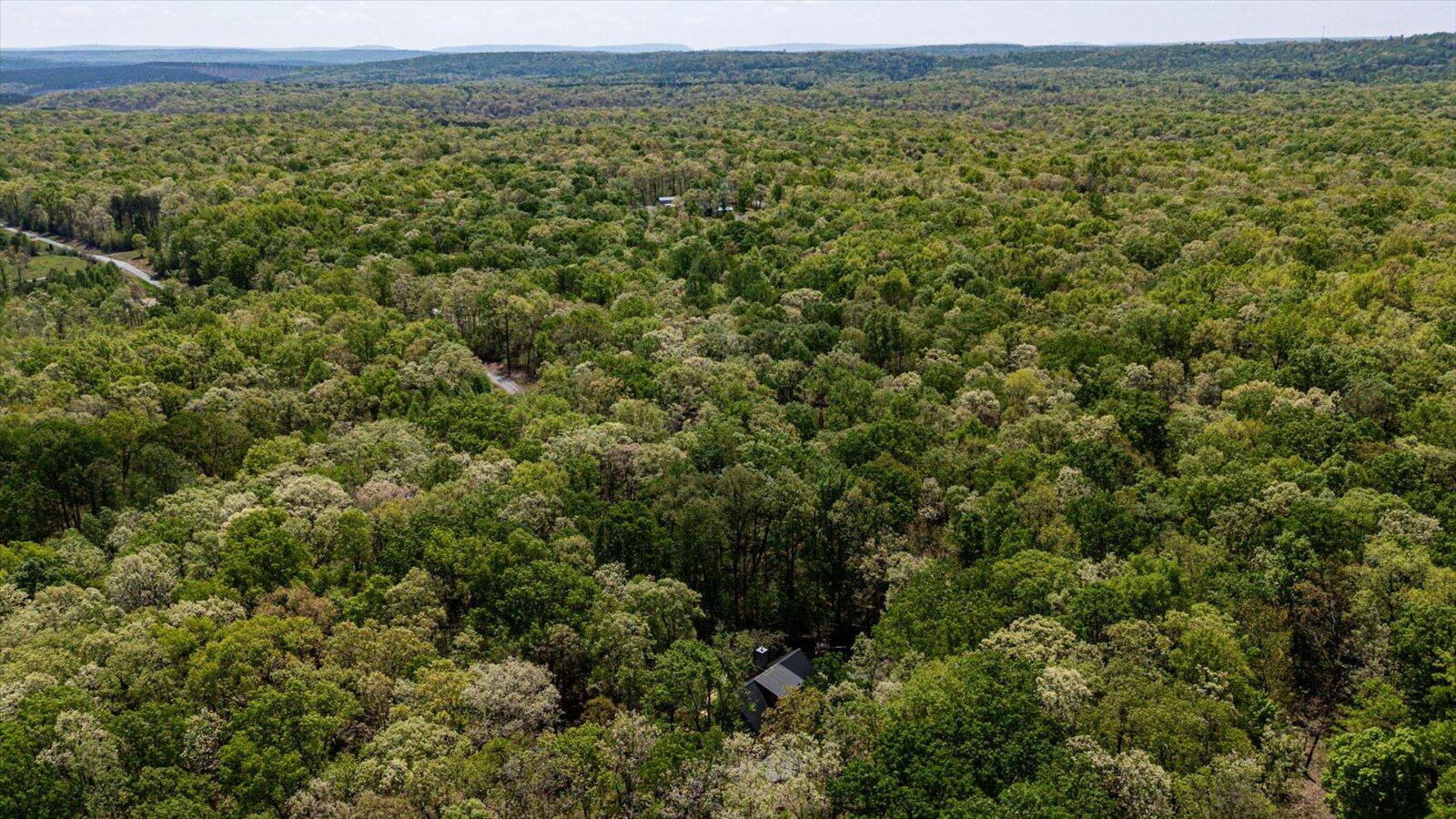 557 Green Forest Road