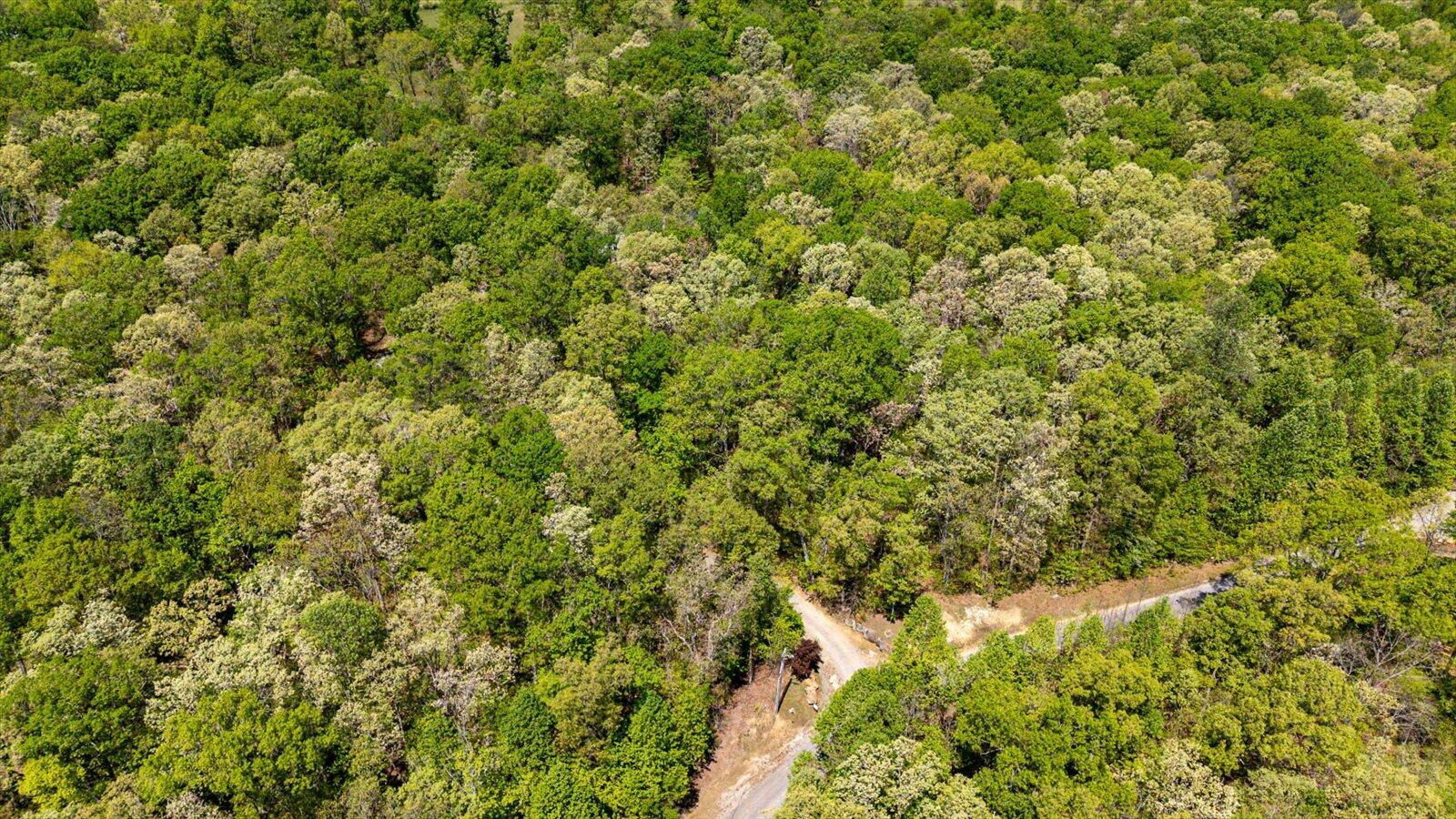 557 Green Forest Road