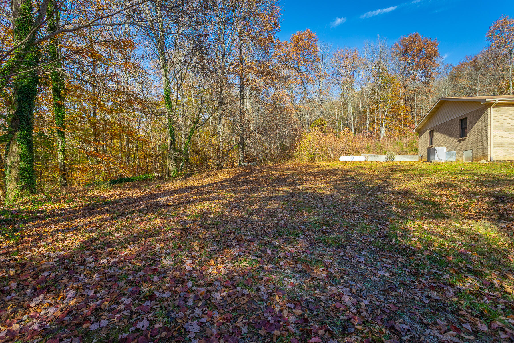 519 Hargiss Cove Road