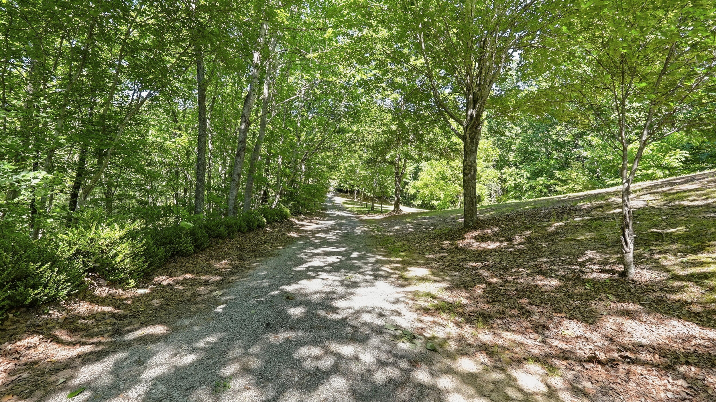 400 Ditch Gap Road