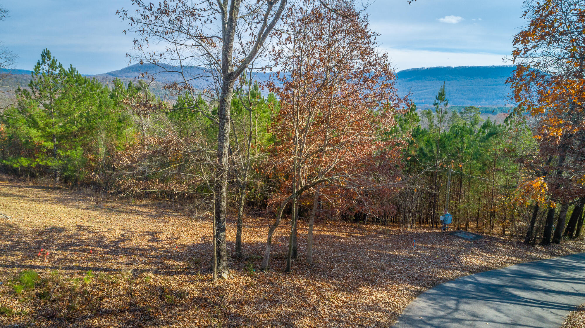 220 Albert Pilgrim Road