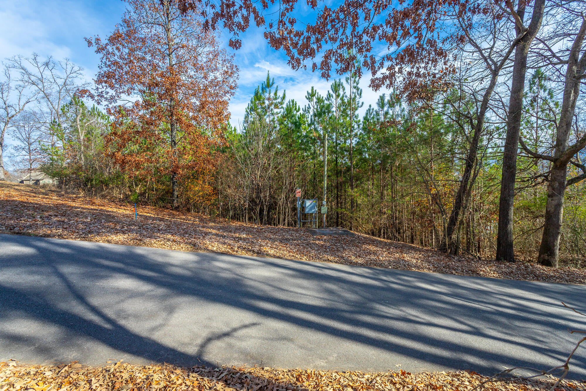 220 Albert Pilgrim Road