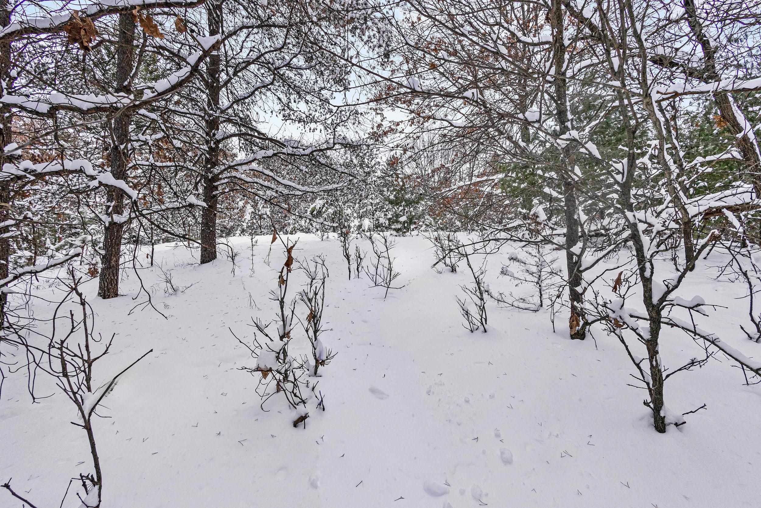 4.65 Acres 2nd Circle