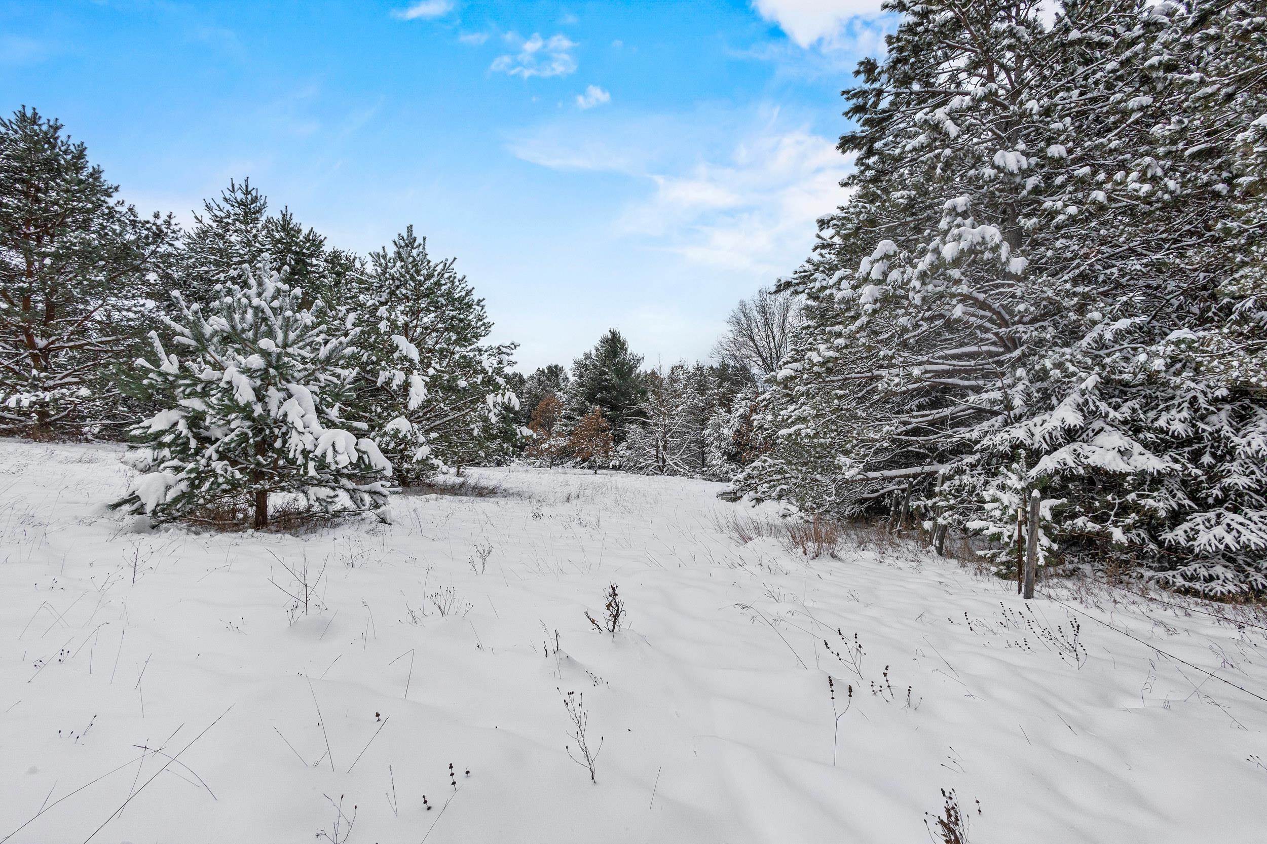 4.65 Acres 2nd Circle