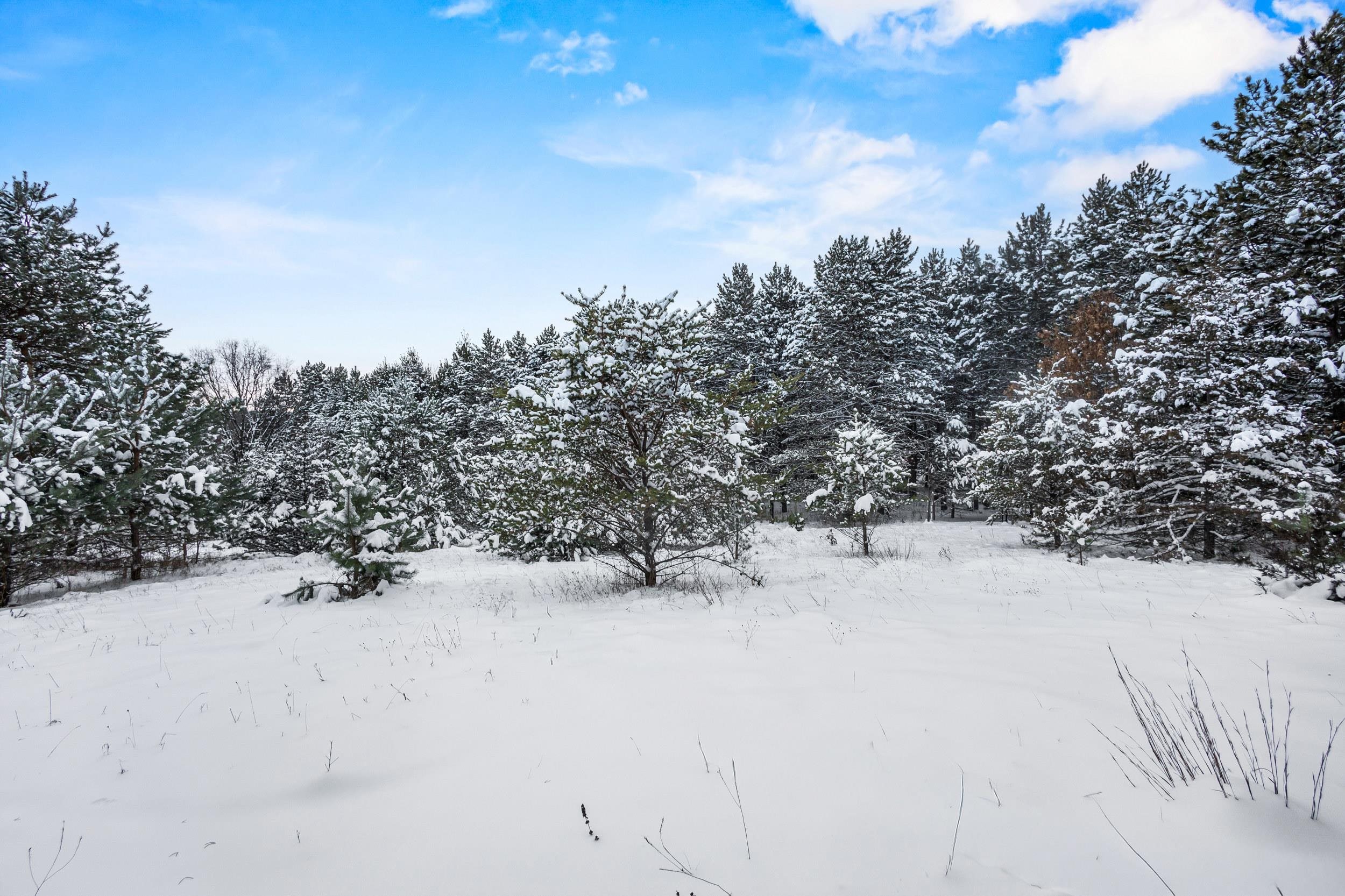 4.65 Acres 2nd Circle