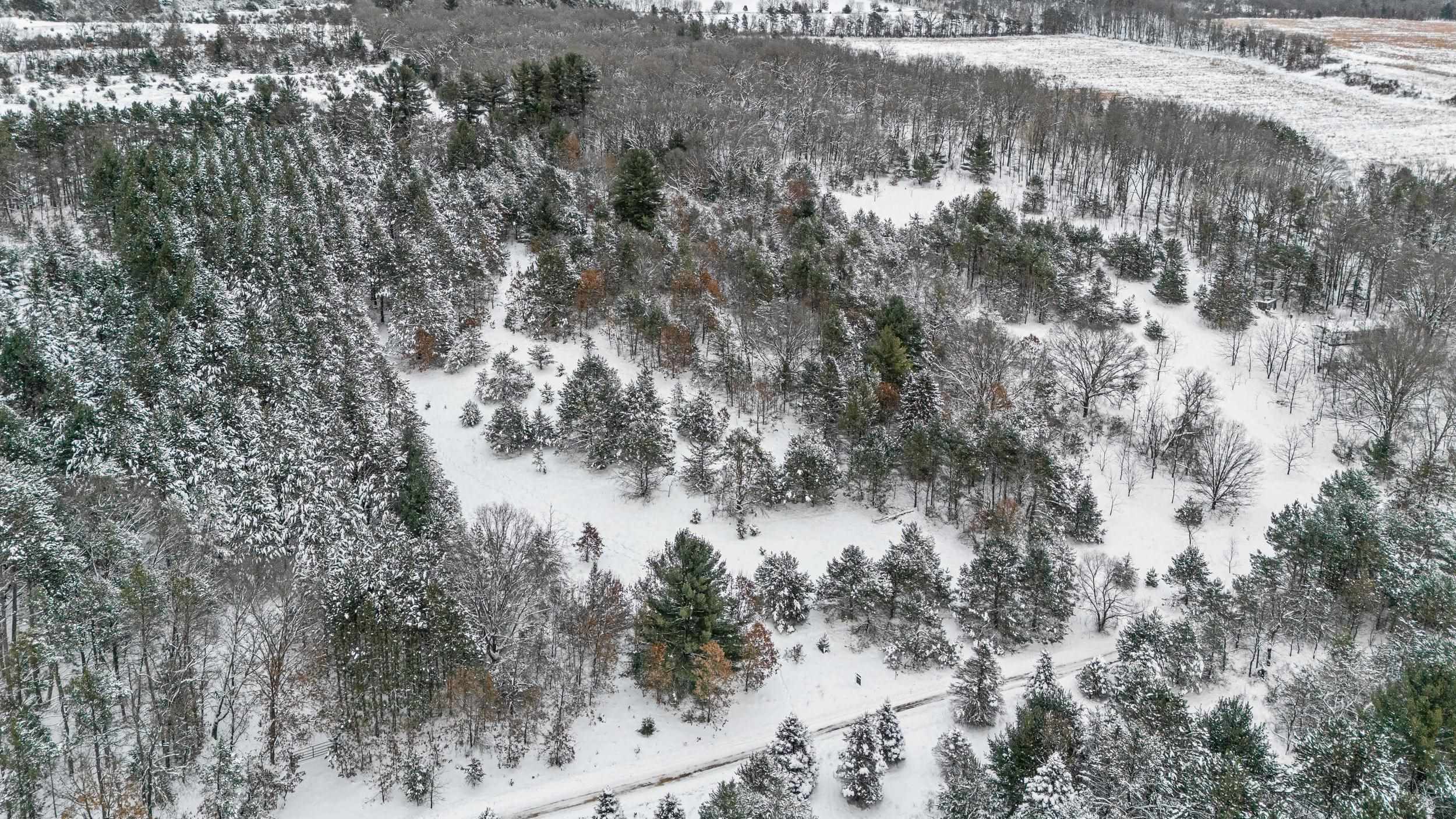 4.65 Acres 2nd Circle