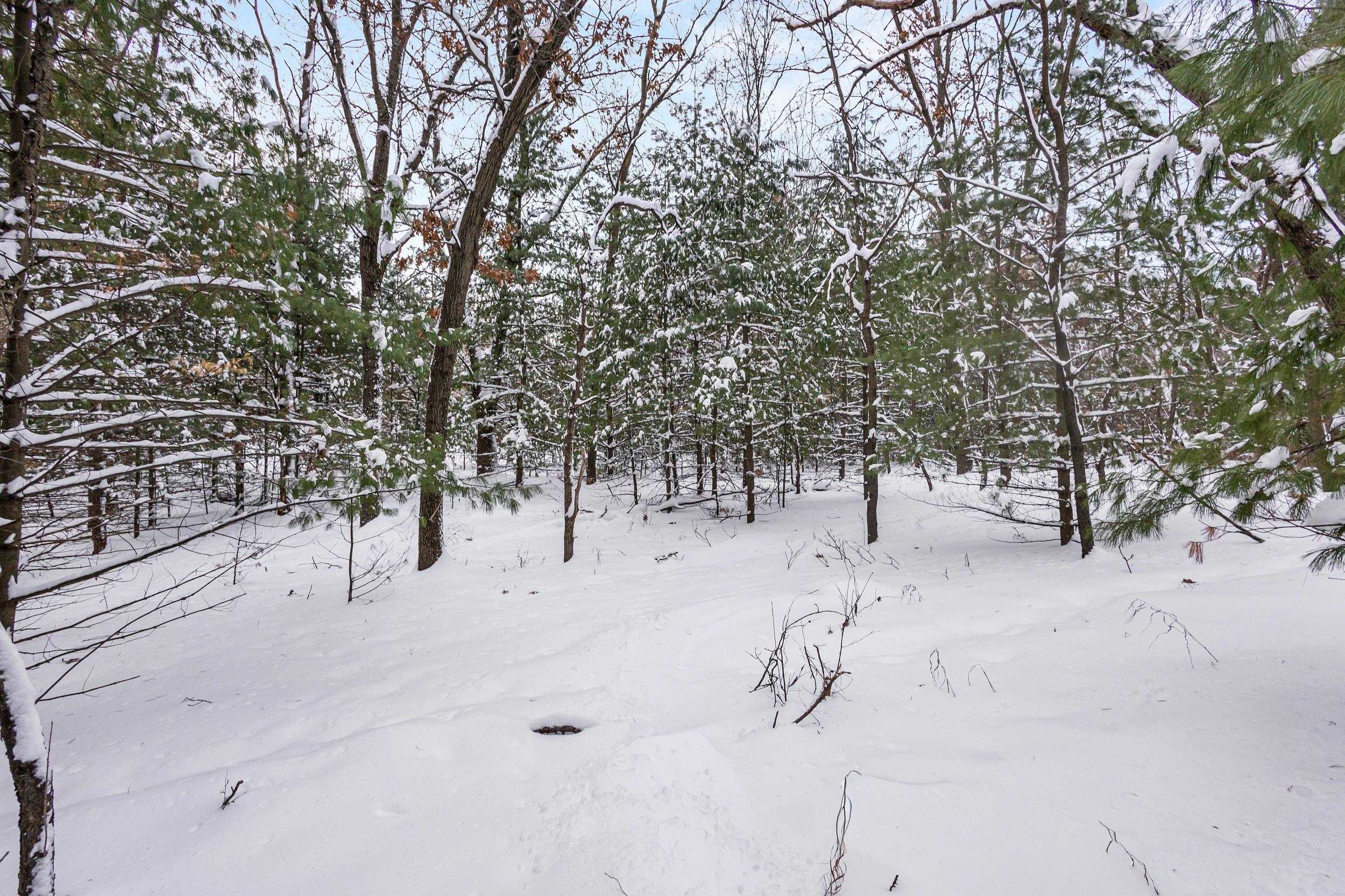 4.65 Acres 2nd Circle