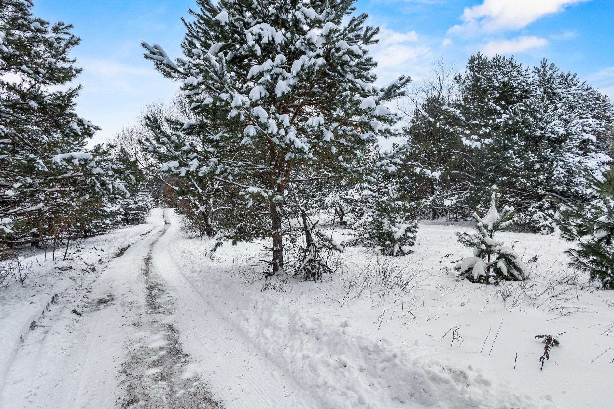 4.65 Acres 2nd Circle