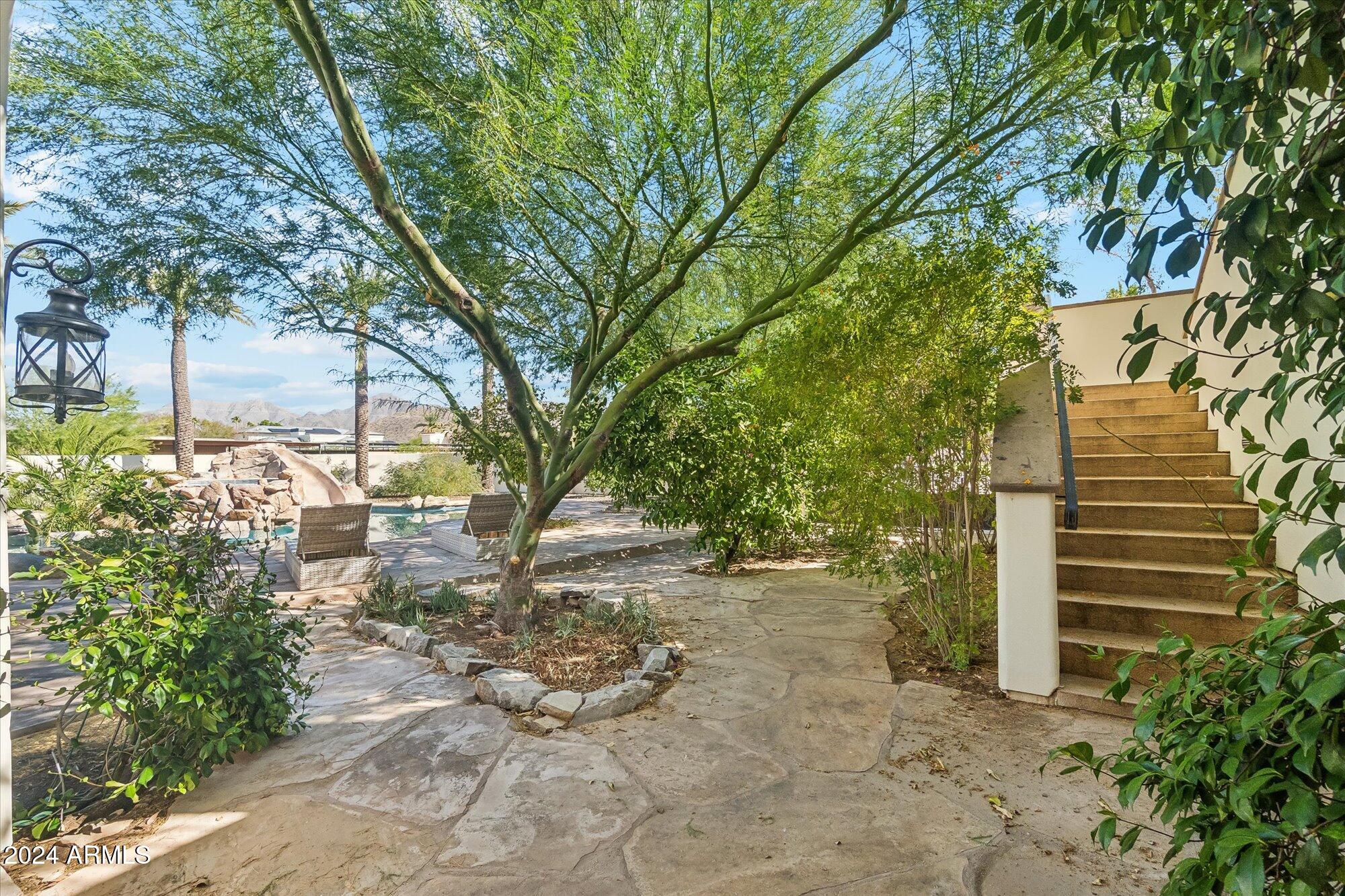 10512 E CHOLLA Street