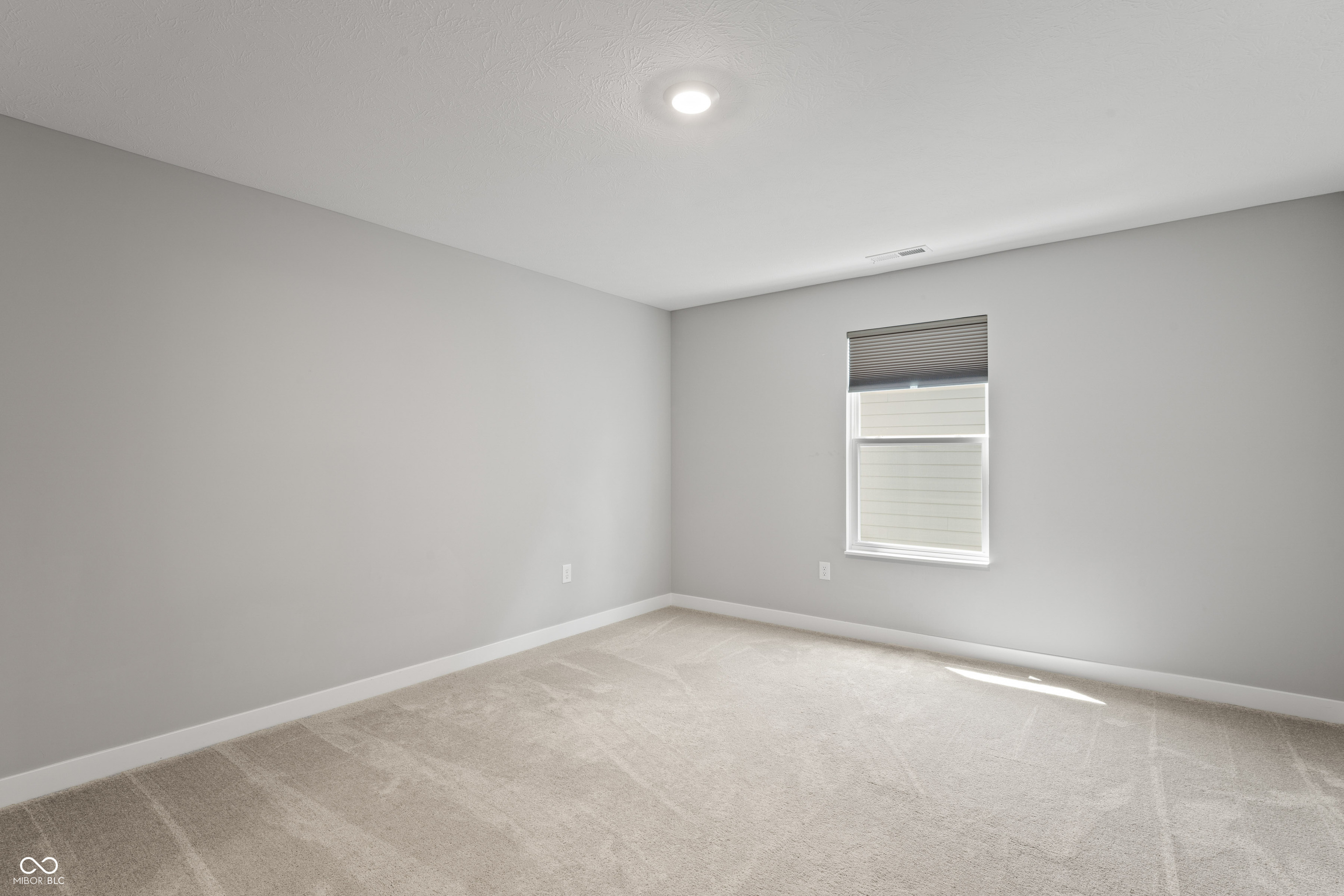 9738 Virginia Pine Drive