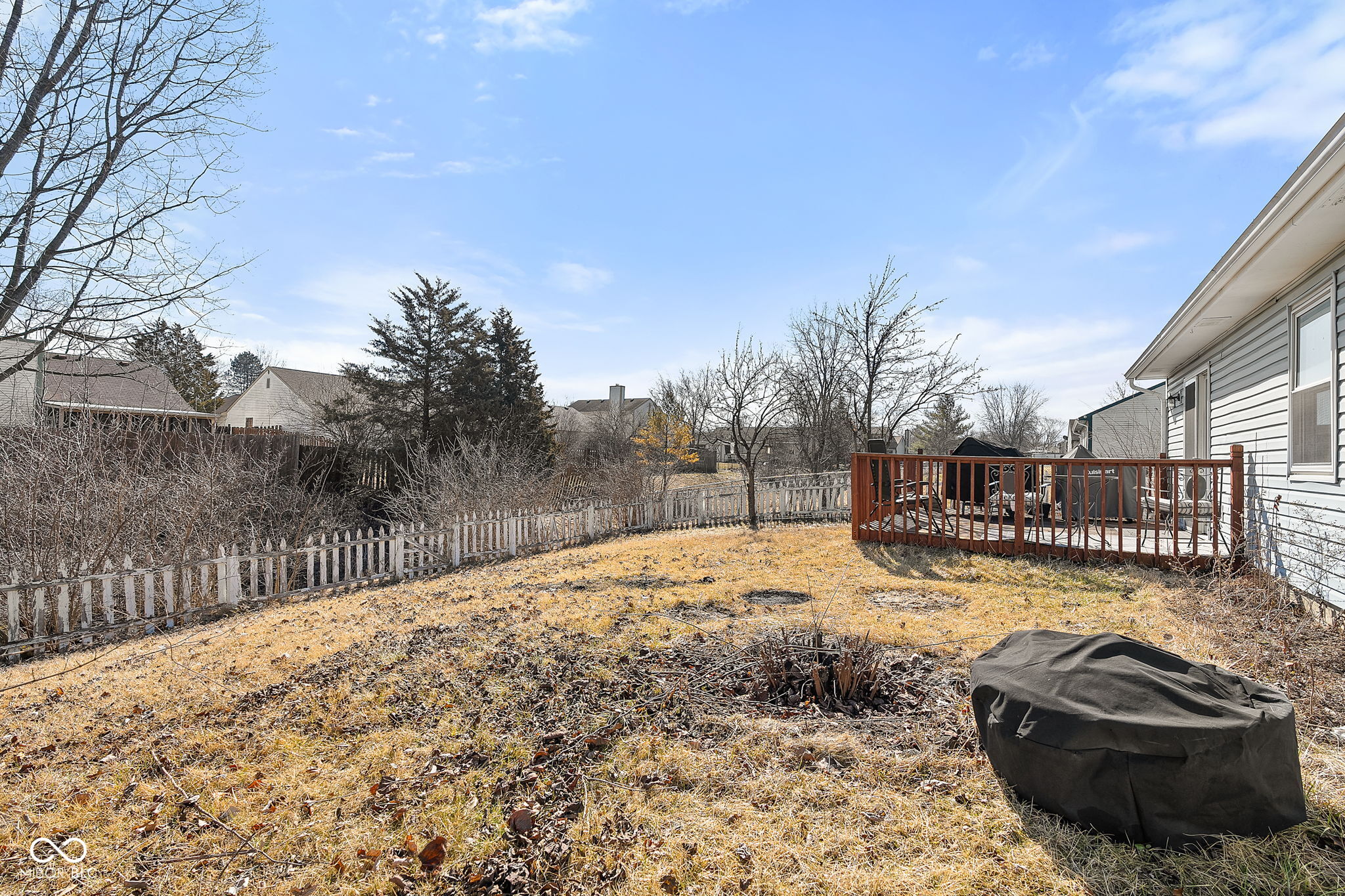 3121 River Birch Drive