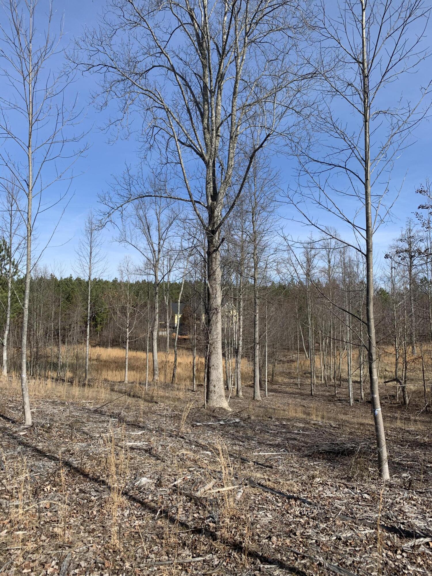 260 Cherokee Path, Jf-285