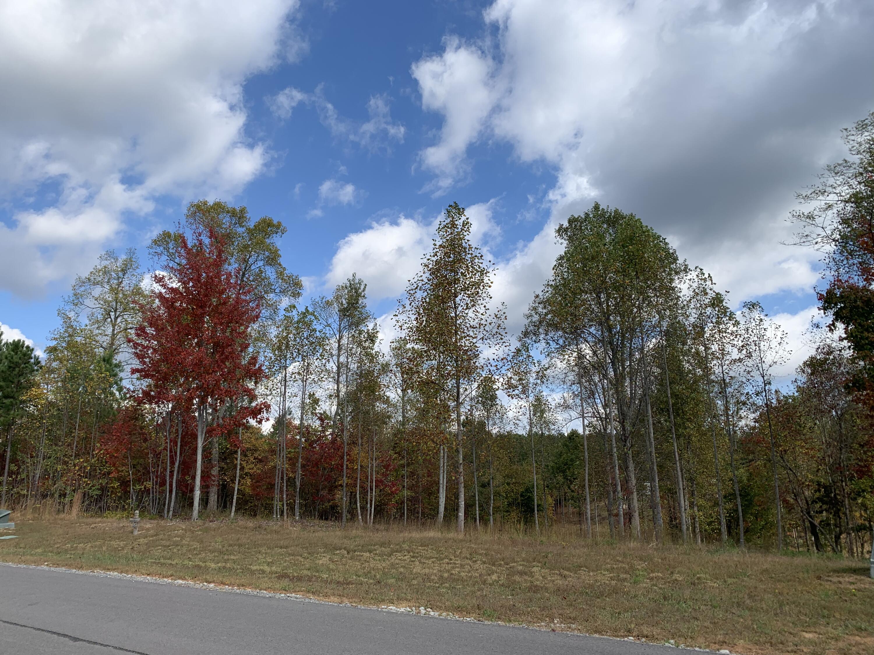 260 Cherokee Path, Jf-285
