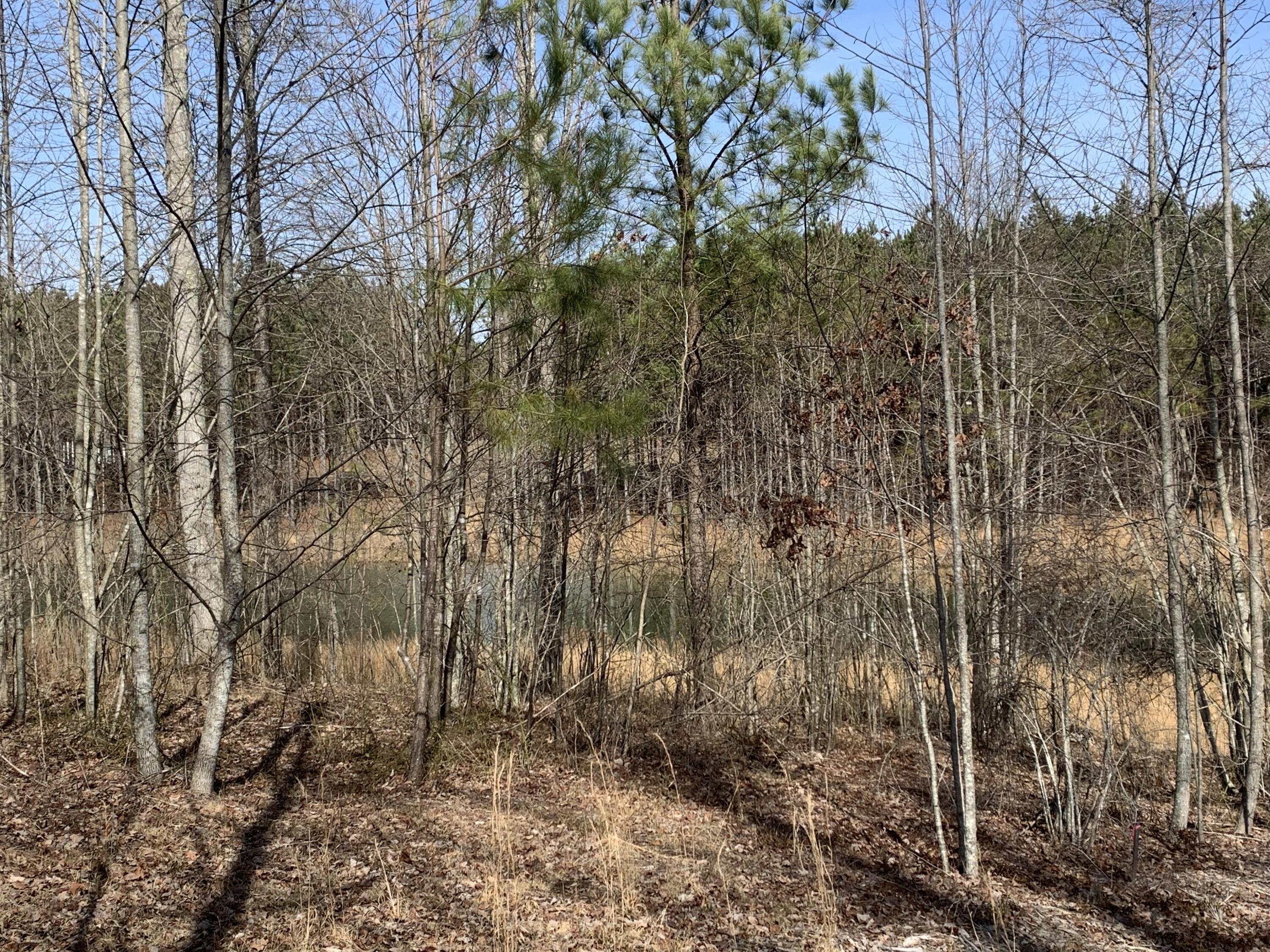 260 Cherokee Path, Jf-285