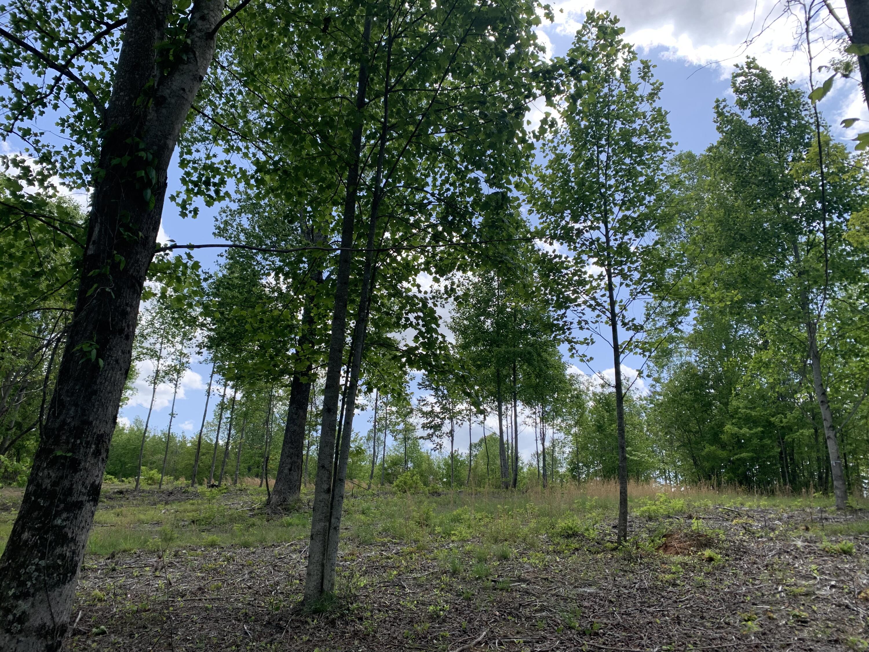 260 Cherokee Path, Jf-285