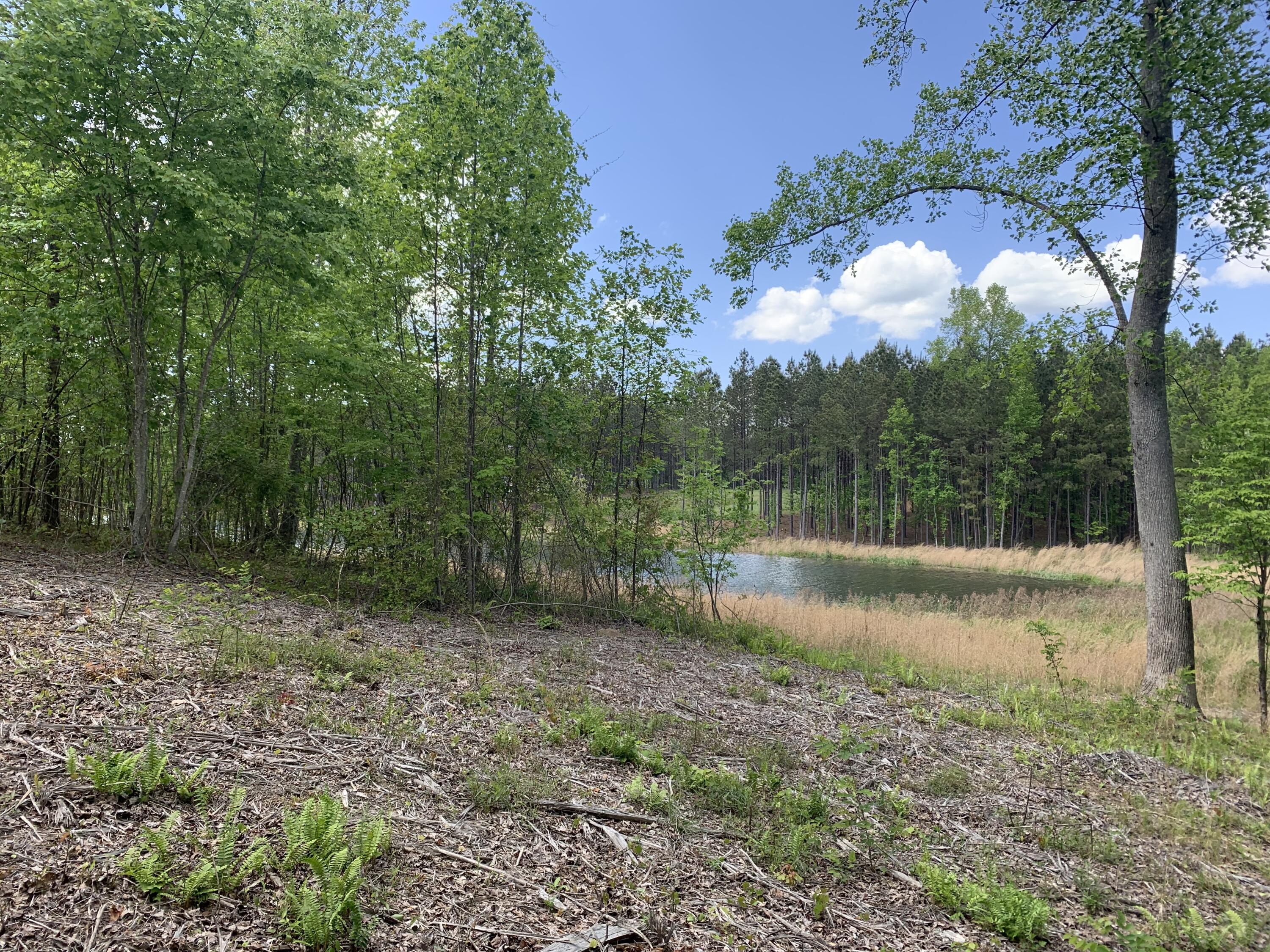 260 Cherokee Path, Jf-285