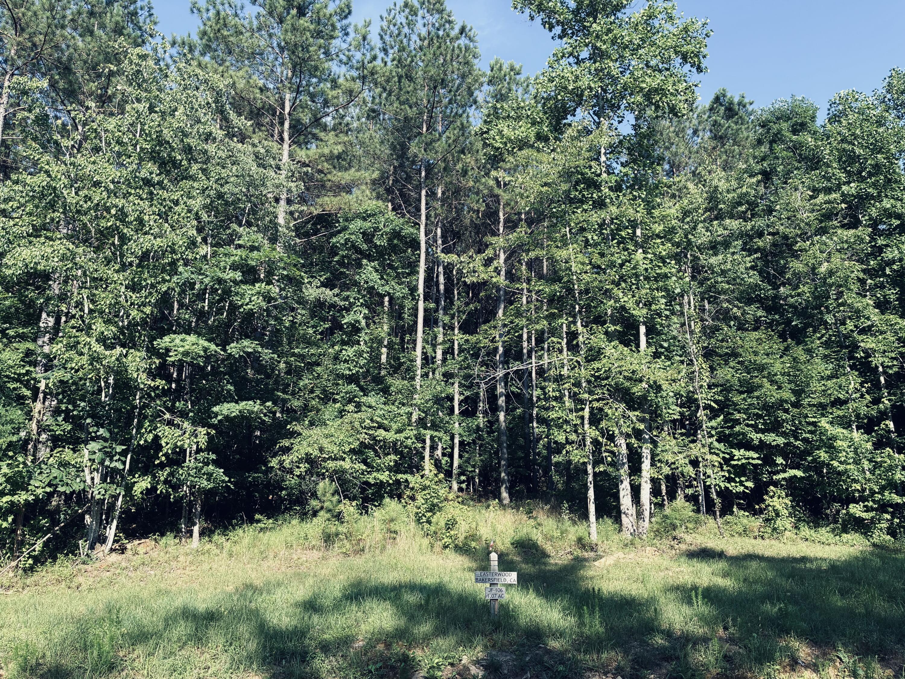 Wooded lot with a grassy clearing and a marker identifying JF-106, 1.07 acres.