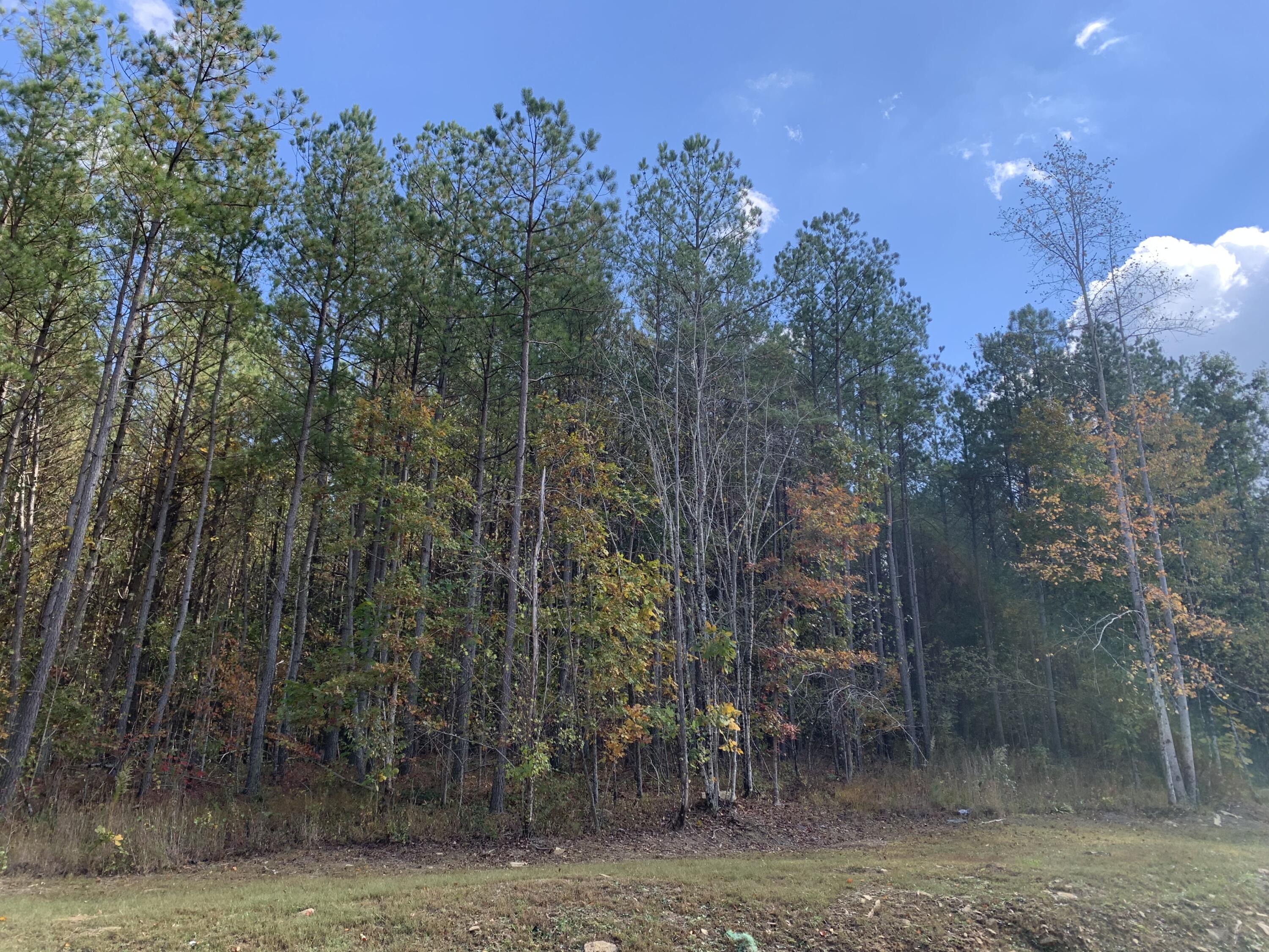 4910 Raulston Falls Road, Jf-106