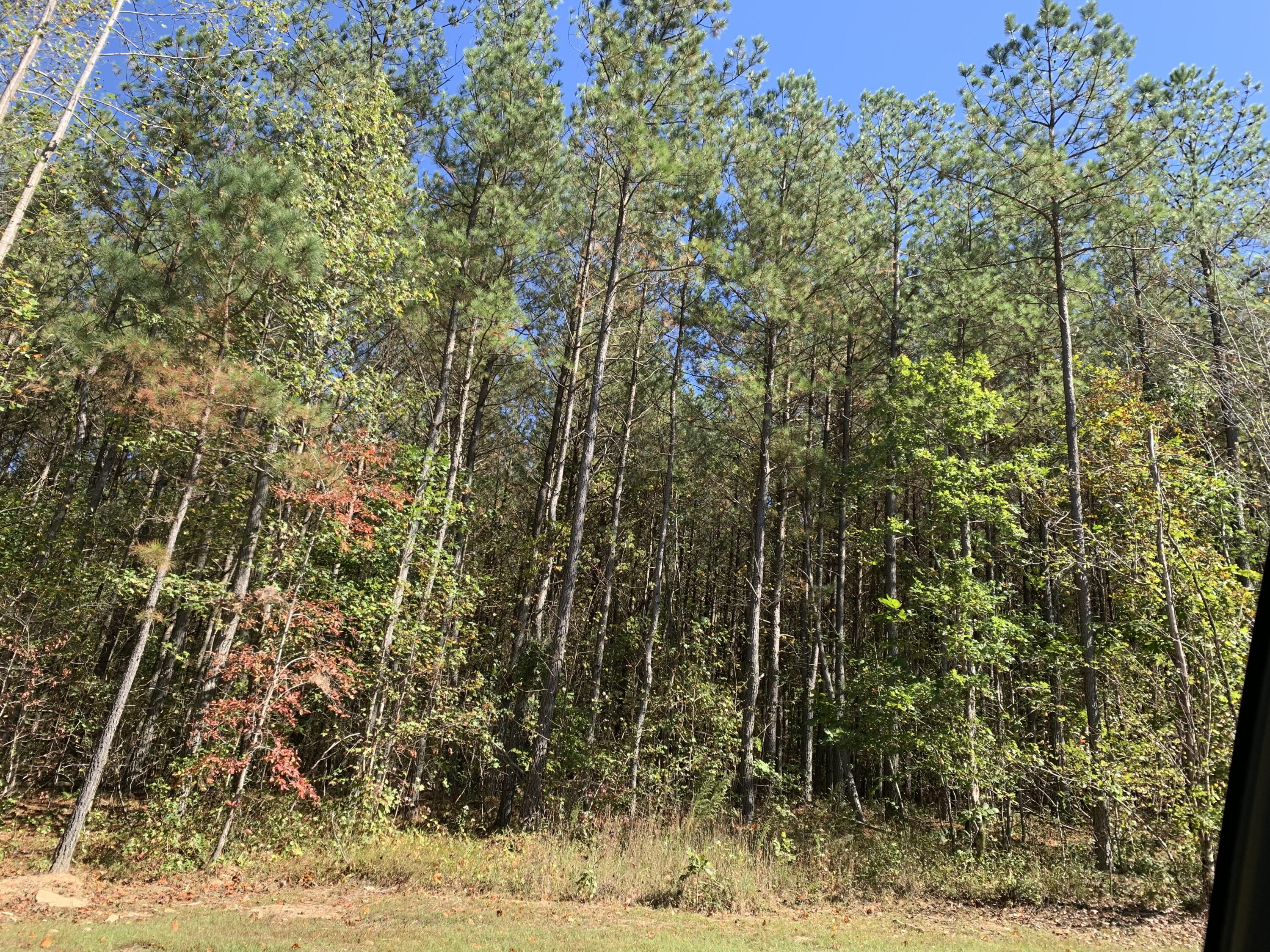 4910 Raulston Falls Road, Jf-106