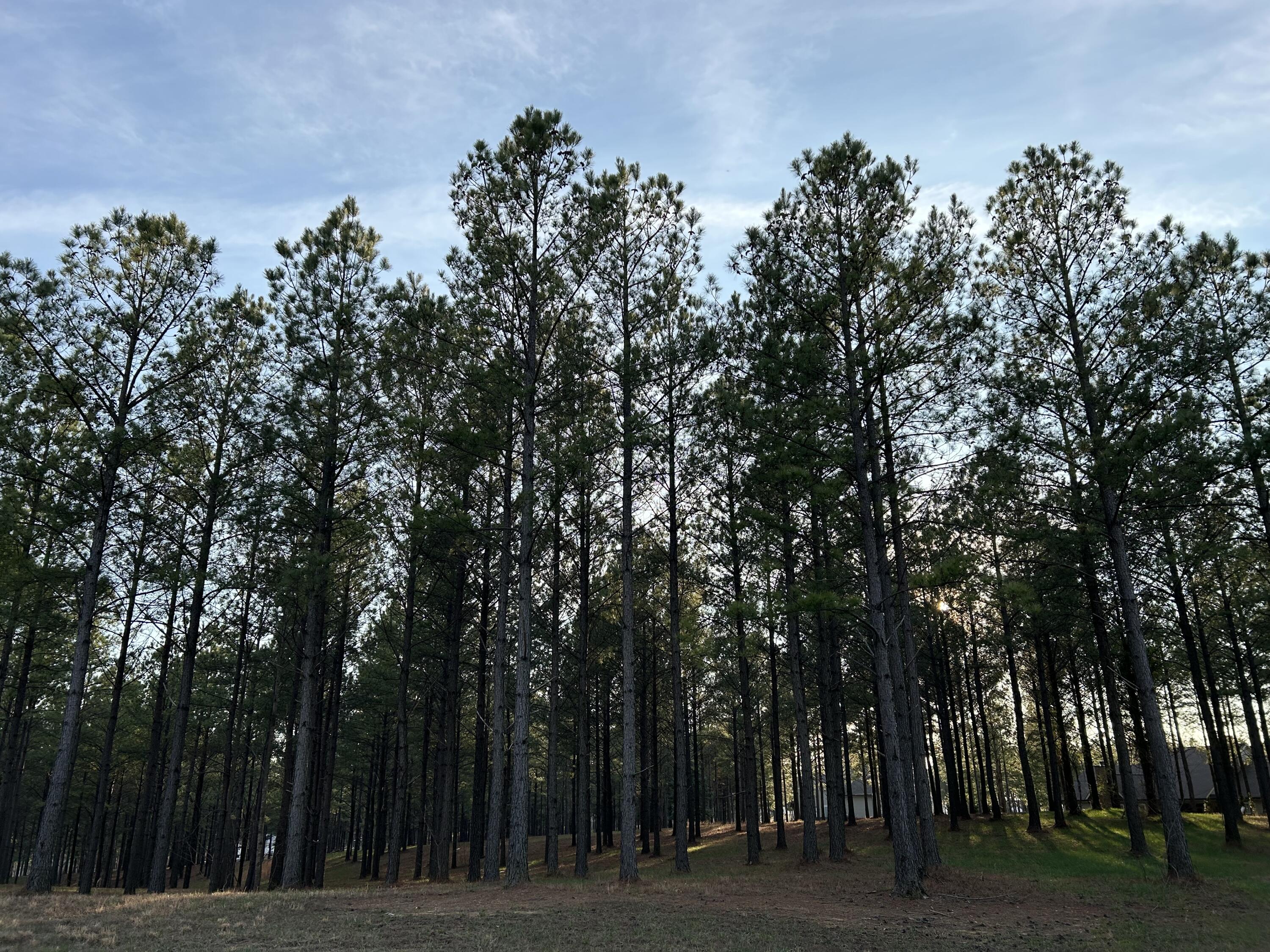 362 Cumberland Circle, Sv-352