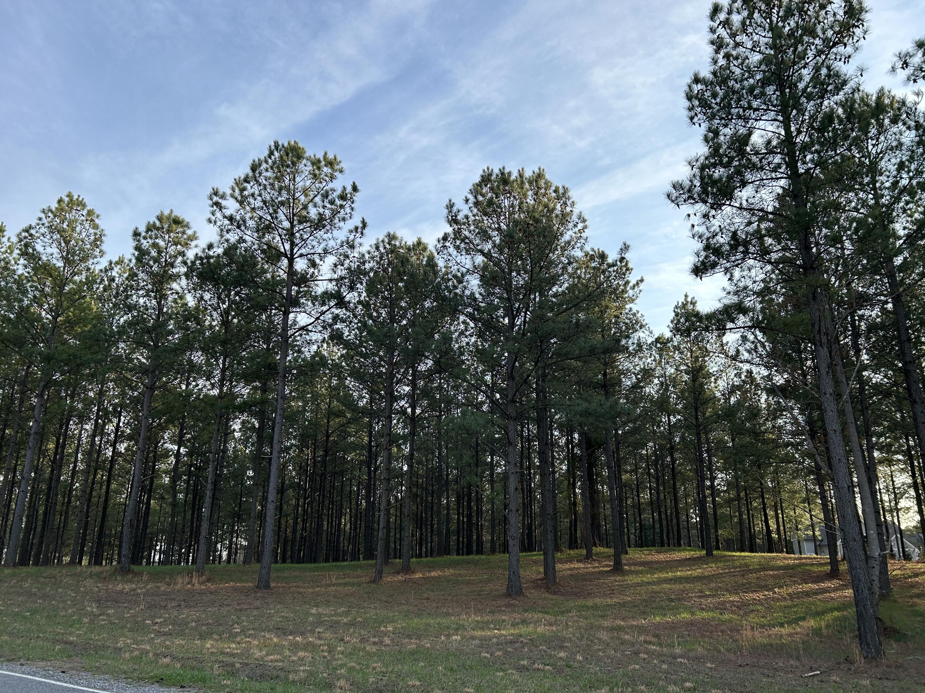 362 Cumberland Circle, Sv-352