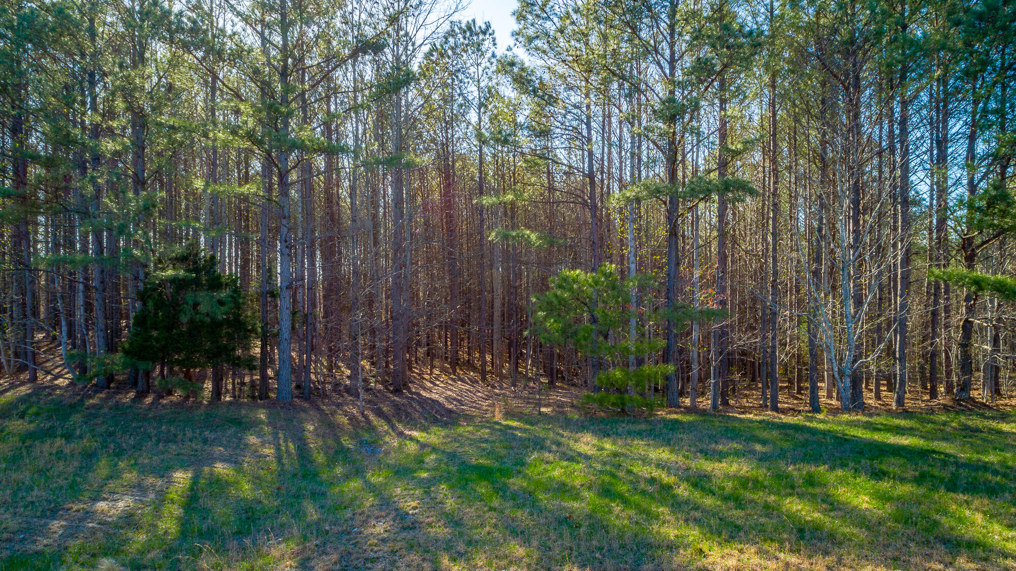 0 Thunder Ridge Drive, 48