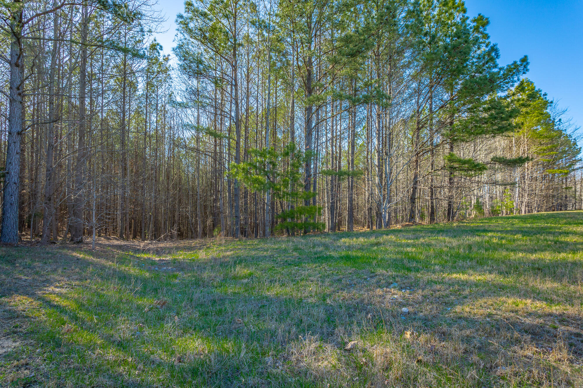 0 Thunder Ridge Drive, 48