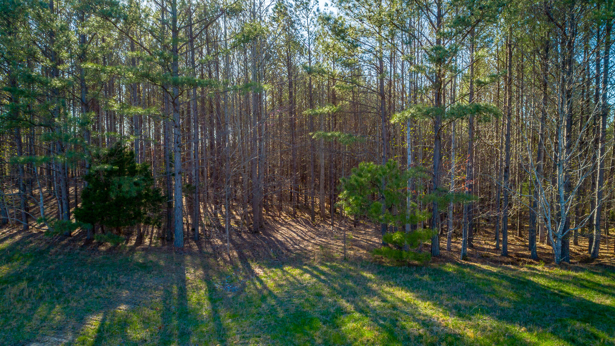 0 Thunder Ridge Drive, 48