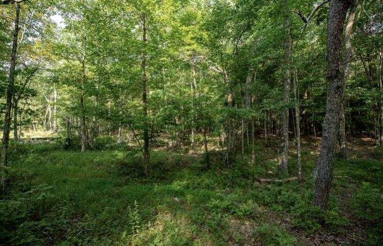 595 Compass Drive, Rb-104