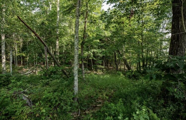 595 Compass Drive, Rb-104